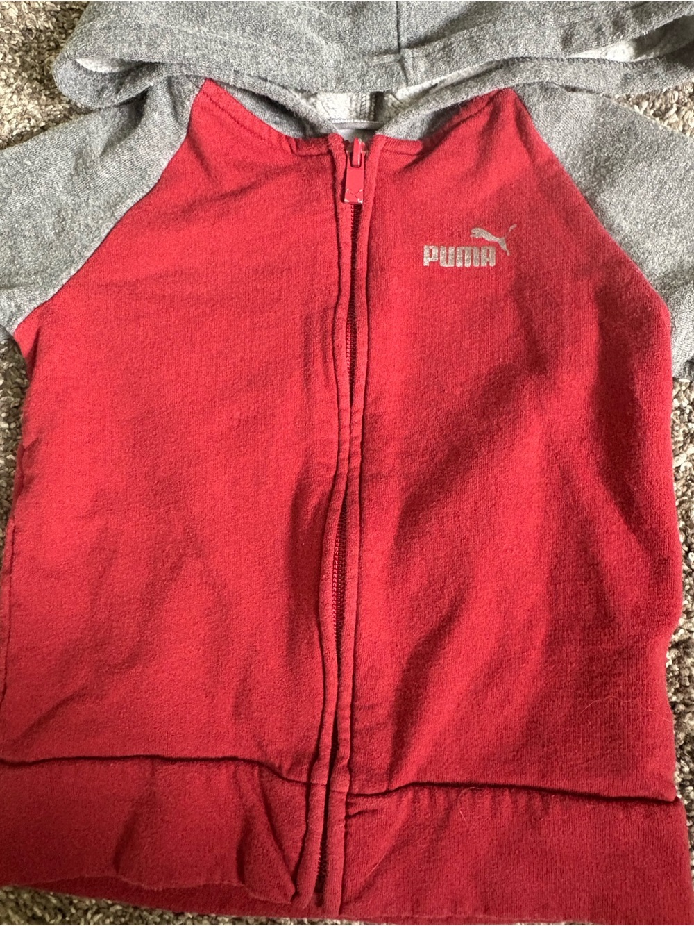 Puma Kids Gray and Red Hooded Jogger Set - Picture 3 of 10
